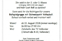 Flyer Volleyball